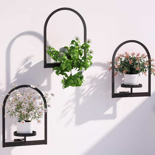 Soporte Para Plantas De Pared